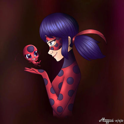 Miraculous Ladybug T-shirt